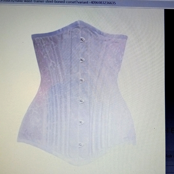 Authentic Waist Trainer Steel Boned - Picture 1 of 6